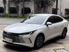 BYD Destroyer 05 Honor Edition DM-i 55KM Premium Type - фото 1