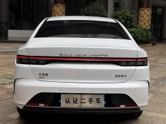 BYD Destroyer 05 Honor Edition DM-i 55KM Premium Type - фото 13
