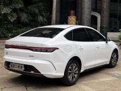 BYD Destroyer 05 Honor Edition DM-i 55KM Premium Type - фото 14