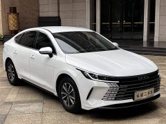 BYD Destroyer 05 Honor Edition DM-i 55KM Premium Type - фото 19