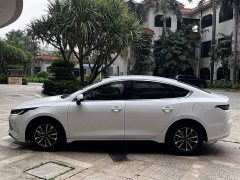 BYD Destroyer 05 Honor Edition DM-i 55KM Premium Type - фото 9