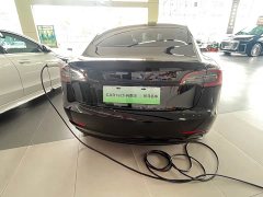 Tesla Model 3 rear-wheel drive version - фото 6