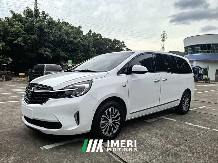 Buick GL8 Land Business Class 652T Premium - автомобиль из Китая