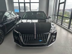 Hongqi H5 2.0T automatic Qichang version - фото 2