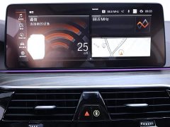 BMW 5 Series Facelift 530Li Exclusive Luxury Package - фото 10