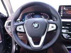 BMW 5 Series Facelift 530Li Exclusive Luxury Package - фото 16