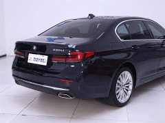 BMW 5 Series Facelift 530Li Exclusive Luxury Package - фото 8