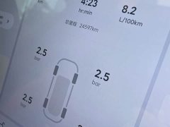 Li Auto Ideal L7 Ultra - фото 6