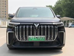 Voyah Lantu Dreamer PHEV Extra Long Range Premium Edition - фото 3
