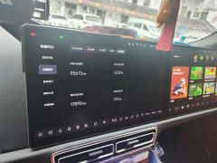 Li Auto Ideal L9 2022 Max - фото 5