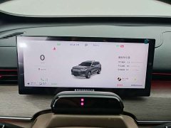 Chery Fengyun T8 1.5T 130km exclusive version 7 seats - фото 17