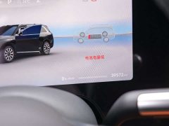 AITO Wenjie M9 extended range Max version 42kWh 6-seater version - фото 14