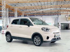 Lynk & Co Leapmoo T03 310 Comfort Edition - фото 3