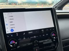 Toyota Vellfire 2024 Crown Hybrid 2.5L Executive Lounge - фото 11