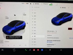 Tesla Model Y 2023 high-performance all-wheel drive version - фото 12