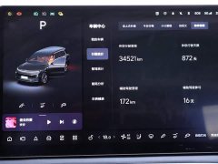 Li Auto Ideal L9 2023 Pro - фото 14