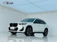 BMW X1 xDrive25Li M Sports Package - фото 1