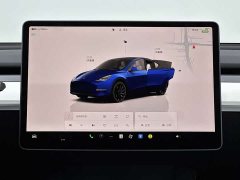 Tesla Model Y 2022 Performance high-performance all-wheel drive version - фото 11