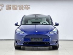 Tesla Model Y 2022 Performance high-performance all-wheel drive version - фото 2