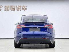 Tesla Model Y 2022 Performance high-performance all-wheel drive version - фото 5