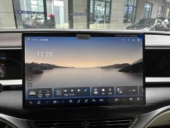 Denza D9 DM-i 980 four-wheel drive premium - фото 5