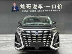 Denza D9 DM-i 980 four-wheel drive premium - фото 6