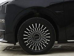 Zeekr 009 2024 6-Seater Executive AWD 108kWh - фото 15