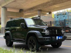 Tank 300 Off-Road Version 2.0T Conqueror - фото 2