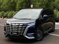Denza D9 DM-i 970 four-wheel drive flagship - фото 1