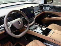 Denza D9 DM-i 970 four-wheel drive flagship - фото 12
