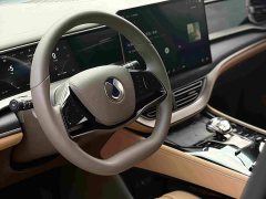 Denza D9 DM-i 970 four-wheel drive flagship - фото 14