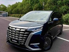 Denza D9 DM-i 970 four-wheel drive flagship - фото 2