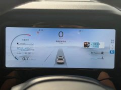 Geely Xingyue L 2021 2.0TD high-power automatic four-wheel drive premium - фото 13