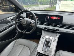 Trumpchi Shadow Leopard 270T DCT Shadow Leopard R-Style version - фото 15