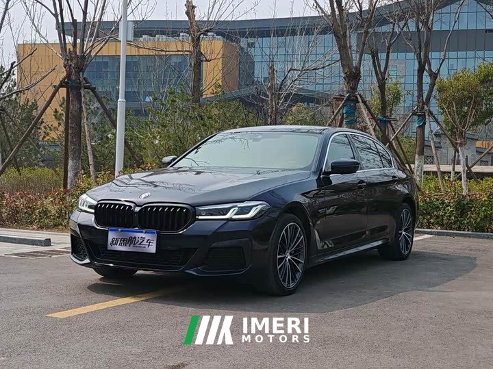 BMW 5 Series 530Li Leading M Sports Package - автомобиль из Китая