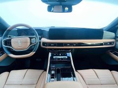 BMW Aviator 2024 3.0T V6 four-wheel drive Presidential Edition six seats - фото 6