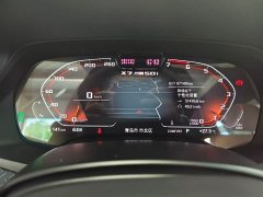 BMW X7 xDrive M50i - фото 13