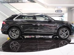 Audi Q8 55 TFSI luxury and dynamic - фото 7