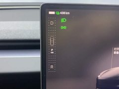 Tesla Model 3 rear-wheel drive version - фото 16
