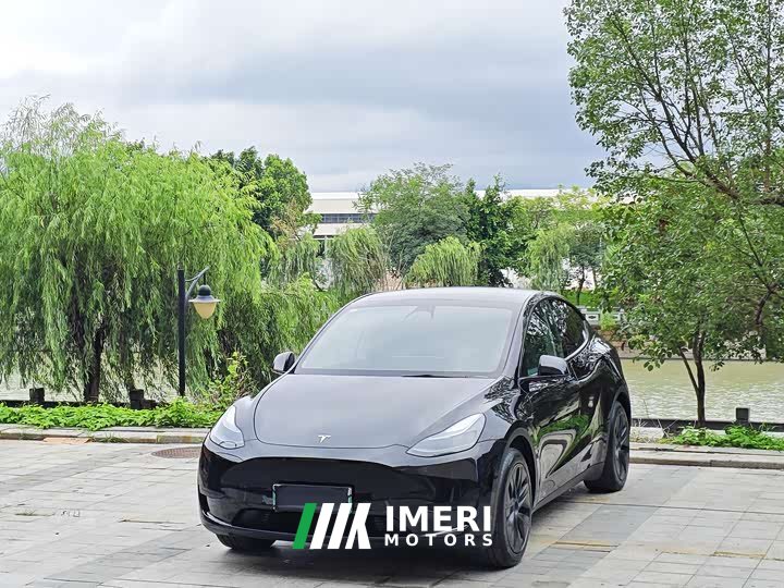 Tesla Model Y rear-wheel drive version - автомобиль из Китая