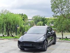 Tesla Model Y rear-wheel drive version - фото 1