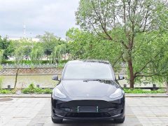 Tesla Model Y rear-wheel drive version - фото 2