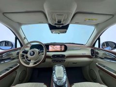 Ora Ballet Cat 2023 401km Premium - фото 6
