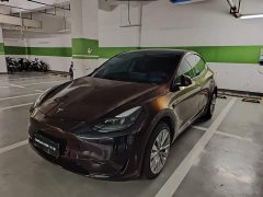 Tesla Model Y rear-wheel drive version - фото 1
