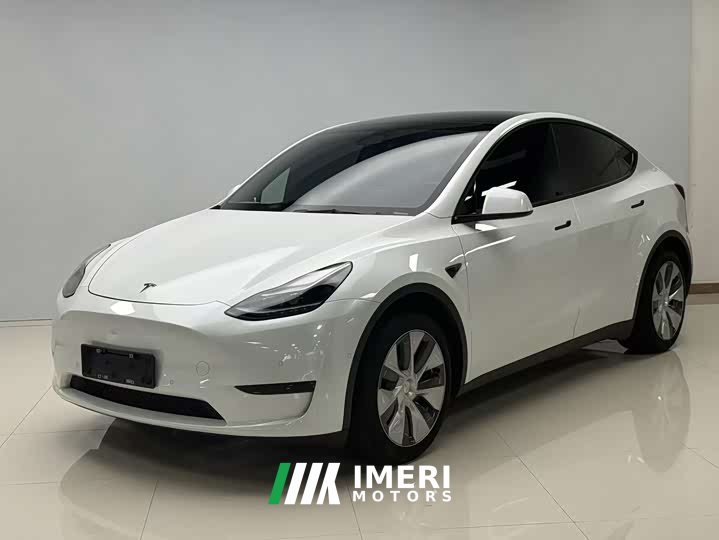 Tesla Model Y rear-wheel drive version - автомобиль из Китая