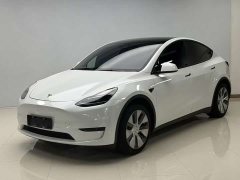 Tesla Model Y rear-wheel drive version - фото 1