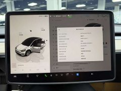 Tesla Model Y rear-wheel drive version - фото 11