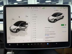 Tesla Model Y rear-wheel drive version - фото 12