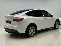 Tesla Model Y rear-wheel drive version - фото 13