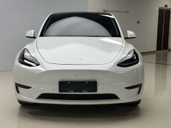 Tesla Model Y rear-wheel drive version - фото 2